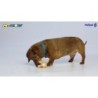 Peluche Petsport Tiny Tots marron