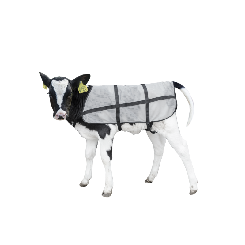 Couverture d'été Bodyguard Calf