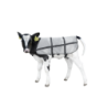 Couverture d'été Bodyguard Calf
