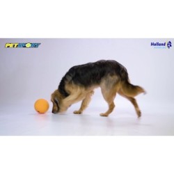 Croquettes Petsport Kingpin Noir
