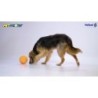 Croquettes Petsport Kingpin Noir