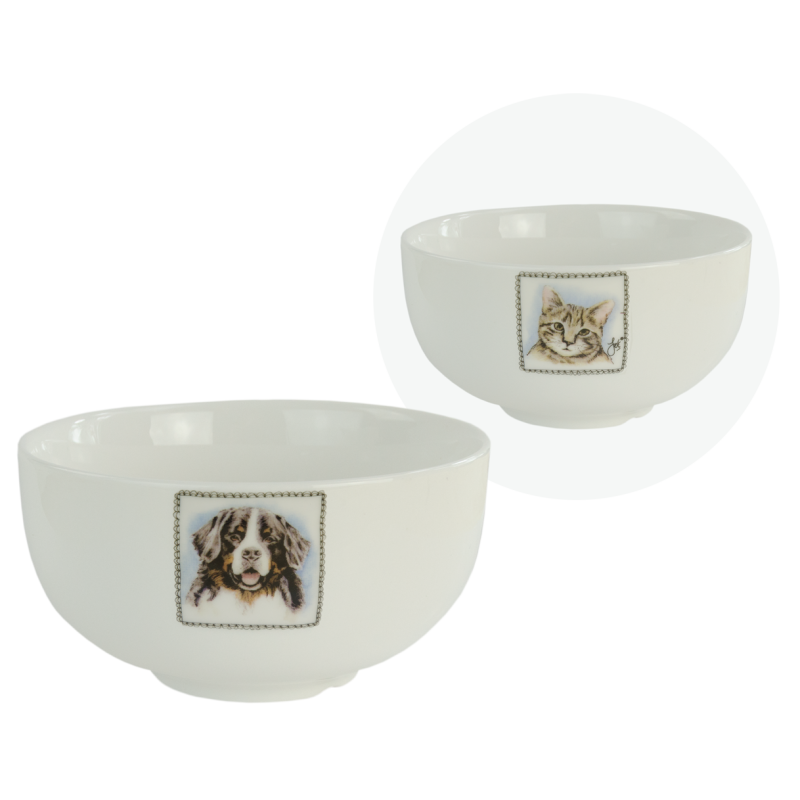 Boerenwinkel Gamelle Chat/Chien