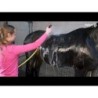 Excellente brosse de toilettage pour chevaux L noire