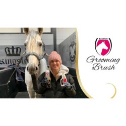 Excellente brosse de toilettage pour chevaux L noire
