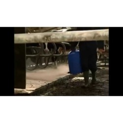 Distributeur de poudre Vink