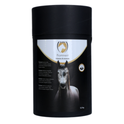 Excellent Cheval Prominent...