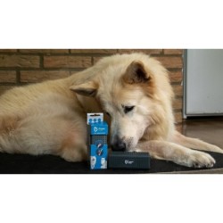 Épilateur approprié pour animaux de compagnie