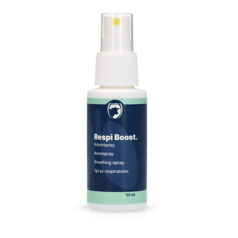 Excellent Respi Boost (spray respiratoire) 50 ml