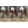 Excellente boisson fraîche de vache 500 g