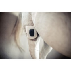 Protection des plaies Rheva Kombo