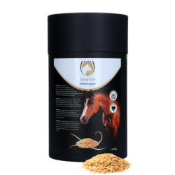 Excellent Horse Sand-Exit...