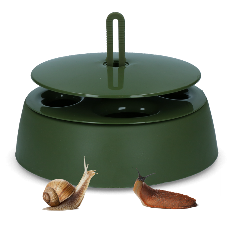 Piège à limaces