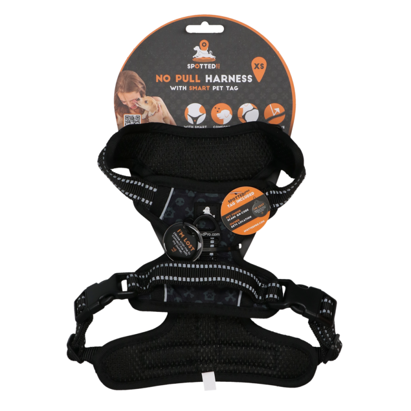 Repéré ! Harnais Pro No Pull Gris foncé XS