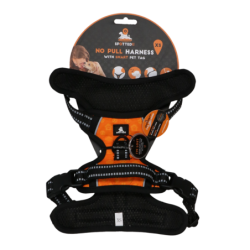 Repéré ! Harnais Pro No...