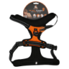 Repéré ! Harnais Pro No Pull Orange XL
