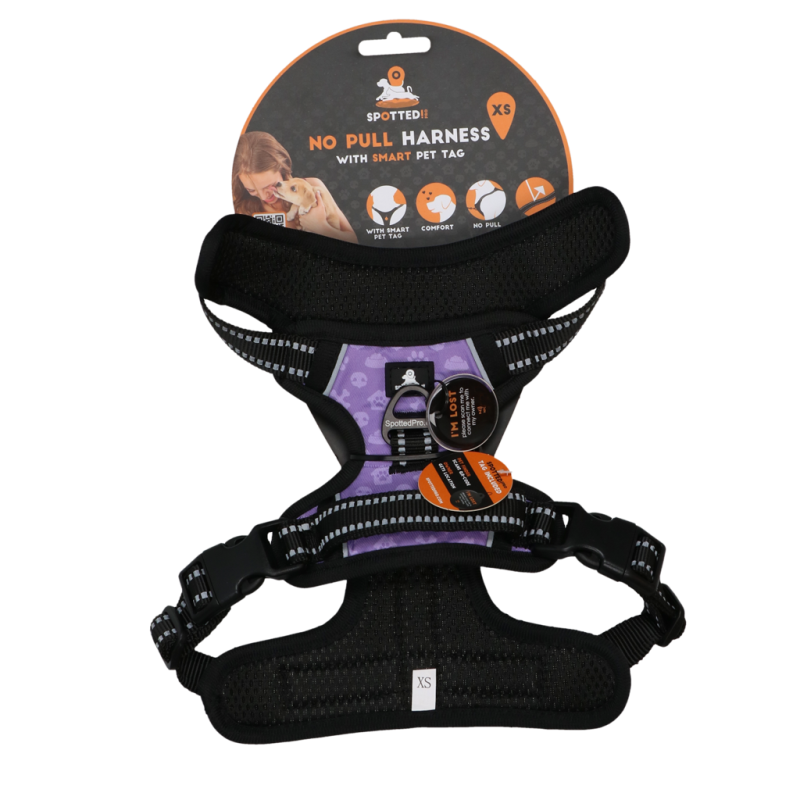 Repéré ! Harnais Pro No Pull Violet XS