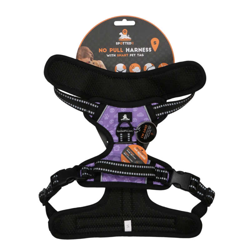 Repéré ! Harnais Pro No Pull Violet S