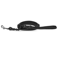 Spotted! Laisse de...