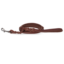 Spotted! Laisse de...