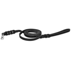 Spotted! Laisse de...