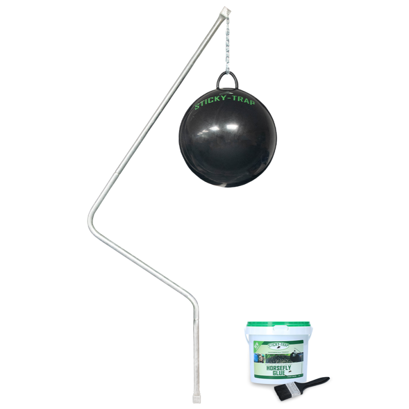 Piège collant Piège à colle Complet Lourd