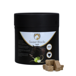 Excellent Horse Sweet...