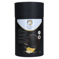 Excellent Horse Sweet...