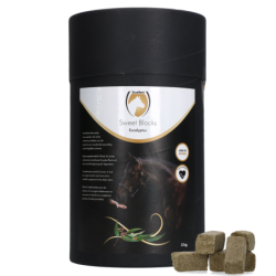 Excellent Horse Sweet...