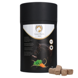 Excellent Horse Sweet...