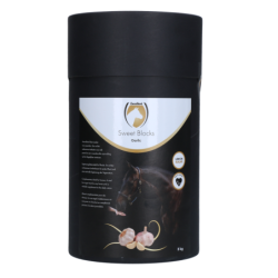 Excellent Horse Sweet...