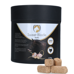 Excellent Horse Sweet...