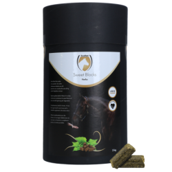 Excellent Horse Sweet...