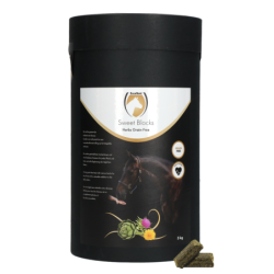 Excellent Horse Sweet...