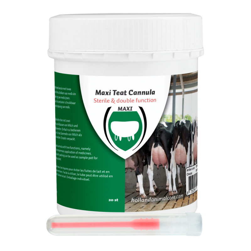 Excellente canule Maxi Teat 55 mm 20 pièces