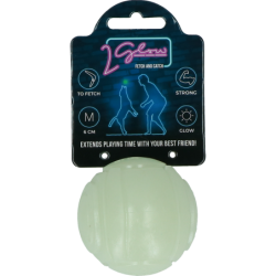 2 Glow Fetch & Play