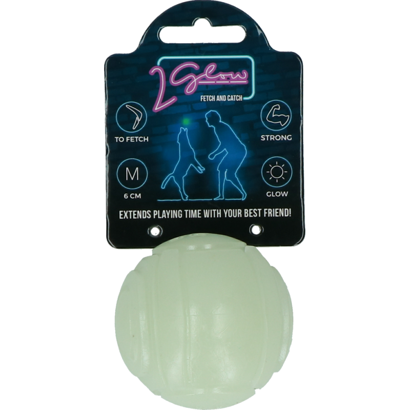 2 Glow Fetch & Play
