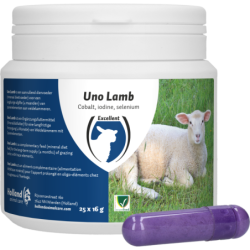 Excellent Uno Agneau 25 x 16 g