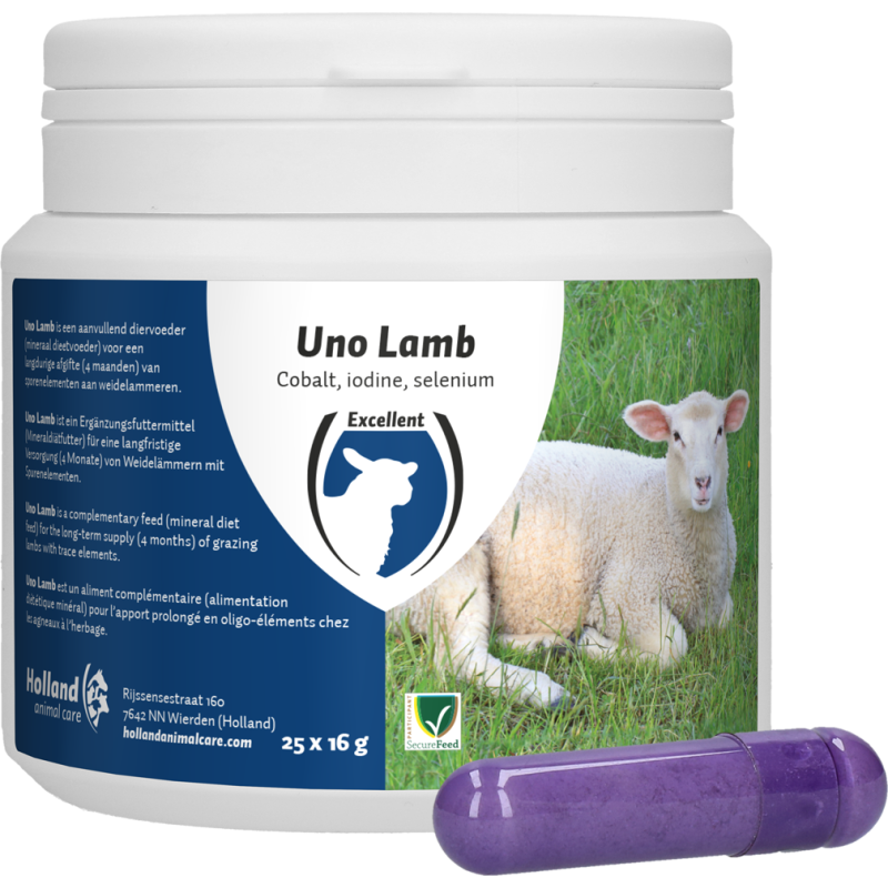Excellent Uno Agneau 25 x 16 g