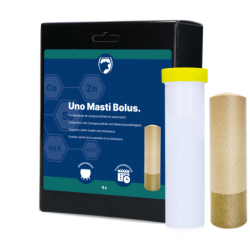 Excellent Uno Masti Bolus 4...