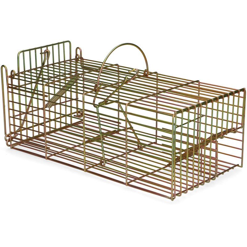 Piège pour rat vivant multi-prises