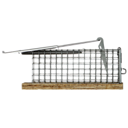 Souricière vivante « Dura »