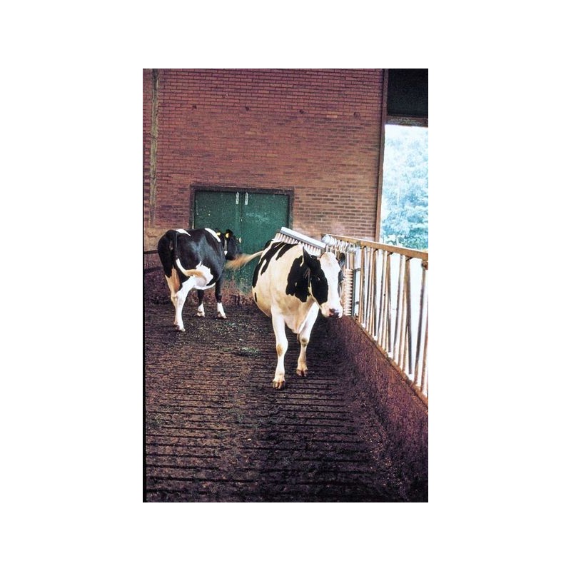 Brosse à bétail Vink