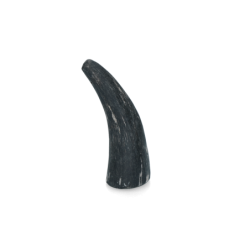 Corne de Viking entière S