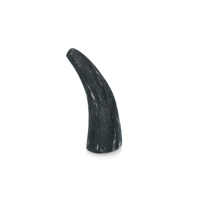 Corne de Viking entière S