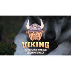Corne de Viking entière S