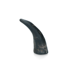 Corne de Viking entière L