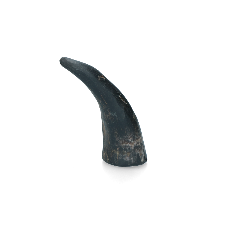 Corne de Viking entière L