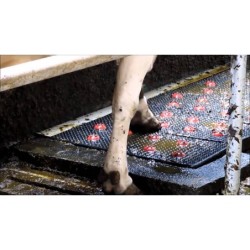 Tapis de pulvérisation Vink Hoofcare