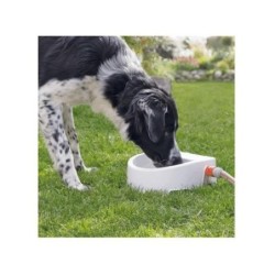 Abreuvoir automatique à...