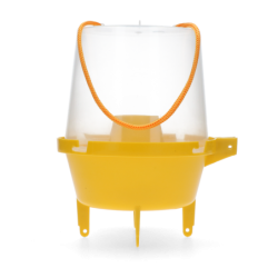 Classique de Wespenval